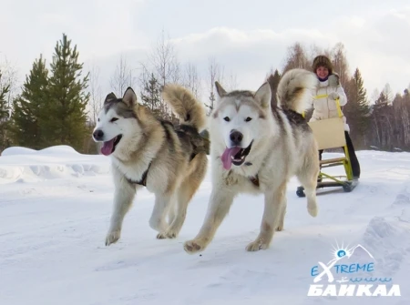 Тур на Байкале Зимние забавы